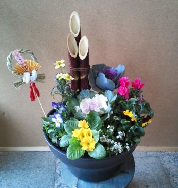 今年の寄せ植えは・・・｜「三好園」　（愛知県名古屋市南区の花キューピット加盟店 花屋）のブログ